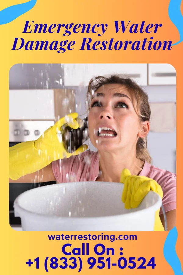 Emergency Water Damage Restoration in Holland, IA