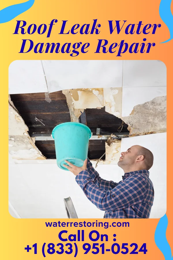 Roof Leak Water Damage Repair in Holland, IA